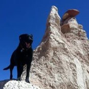 Gail Fredericks's photo