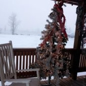 Tina Strauser's photo