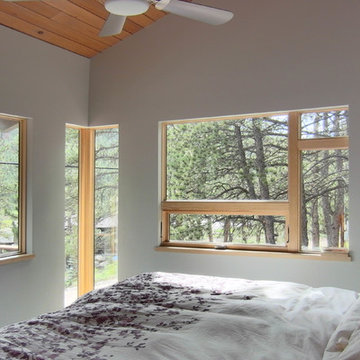 Modern Cabin Renovation