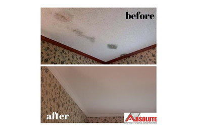 Ceiling Repair & Mold Abatement