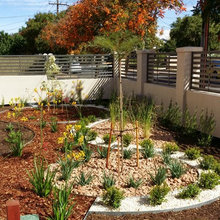 Front Yard Landscape
