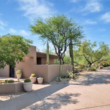Honey Mesquite