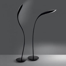 calanit_segal's ideas