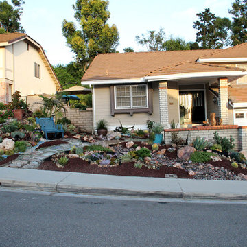 Lake Forest HOA Home Front Yard Remodel with Drought Tolerant Succulent Garden