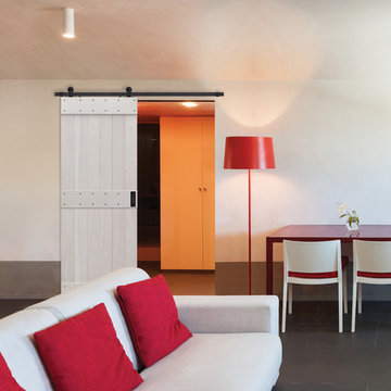 Sliding Barn Doors-Mid Rail Plank Barn Door • 8´0˝ Tall