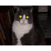 Alice MacInnis's photo
