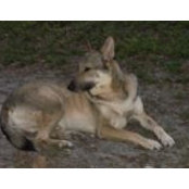 Laura Kopple's photo