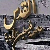 Foto von Hussein Mahmoud
