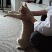 Stephen Shen's photo