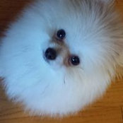 Samantha Merz's photo