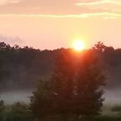Foto von Judith Morris