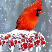 Gail Shevlin's photo