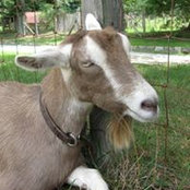 Betsy Wallin's photo