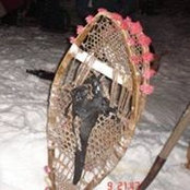 Paul Cormier's photo