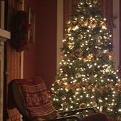 Cathy Connor's photo