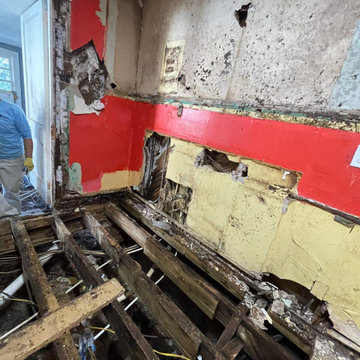 Termite Damage Is at it Again