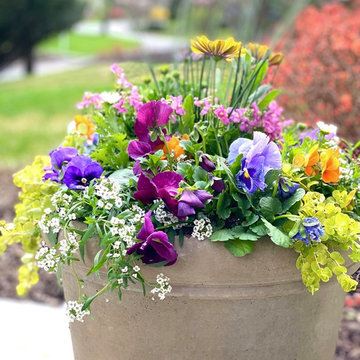Early Spring Containers