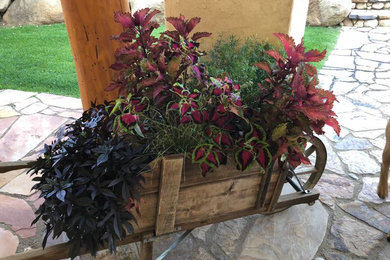 Design ideas for an eclectic landscaping in Other.