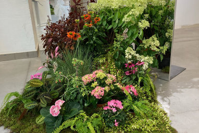 Plantes en Intérieur / Extérieur