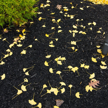 Planning for Fall Color at a Western New York Home