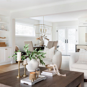 Edina Court - Whole Home Remodel