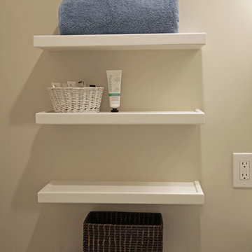 Belmont basement conversion