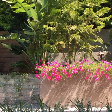 Studio City Hills Home