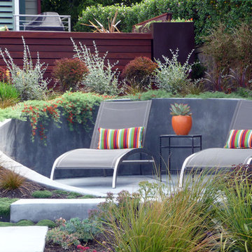 Modern Water-Side Landscape/Deck Remodel - Back, Northern Calif.