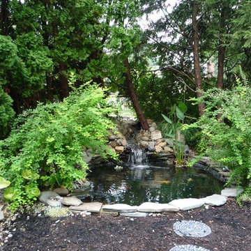 First Koi Pond