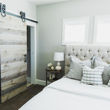 Mid Century Modern Barn Doors