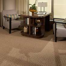 Floor and Carpet