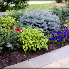front walk/landscape