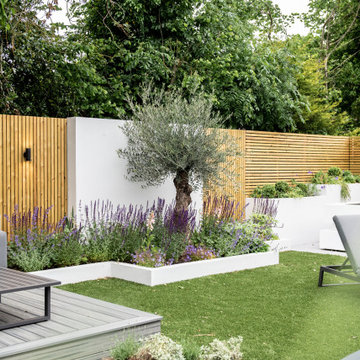 Small Contemporary