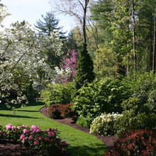 landscaping ideas