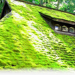 Moss Away Gutter Guards - Roofing And Gutters