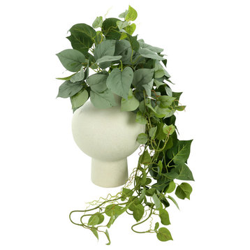 Ivy Arranged in Round Ceramic Vase