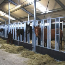 stal idee