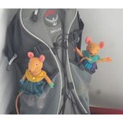 Foto von Jill Rose