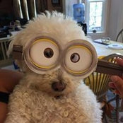 Jill Epstein's photo