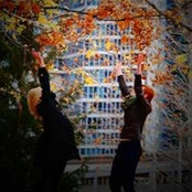 Ashley Kruttek's photo