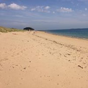 Mathieu Paulic's photo
