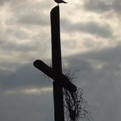 Foto von Terri Herring