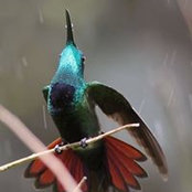 Danielle Brassard's photo