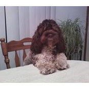 Anne Strehlow's photo