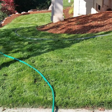 Mission Impossible MakeOver!  Specimen Trees & Patio Down Extreme Slope
