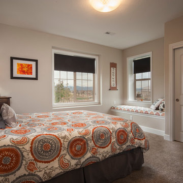 Transitional Basement in Highlands Ranch, CO