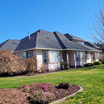Single House renovation