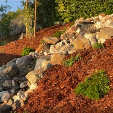 Xeriscape & Native Garden with Waterfall