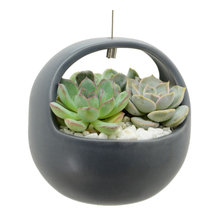 Wish List
