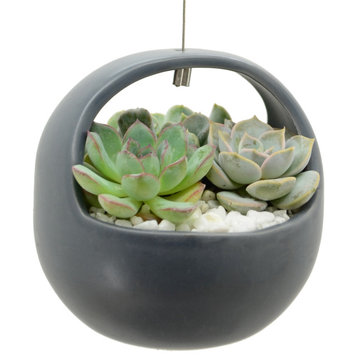 Ceramic Air Planter, Basket Style, 4.5x4.5", Dark Gray, Light Gray, Matte White,